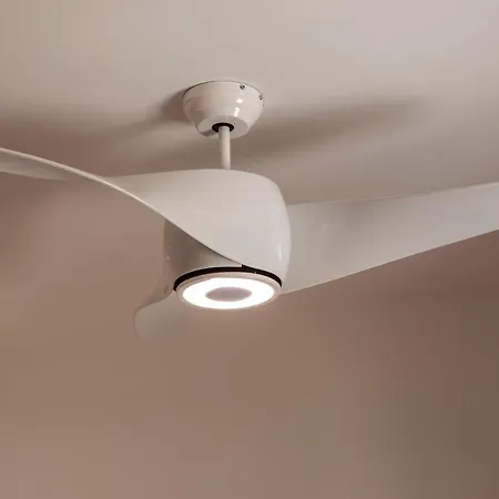 Rose By The Sea Πρωταράς