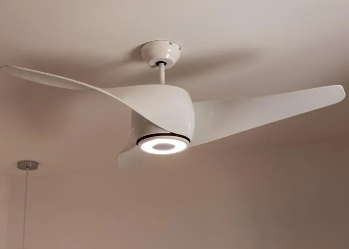 Rose By The Sea 普罗塔拉斯